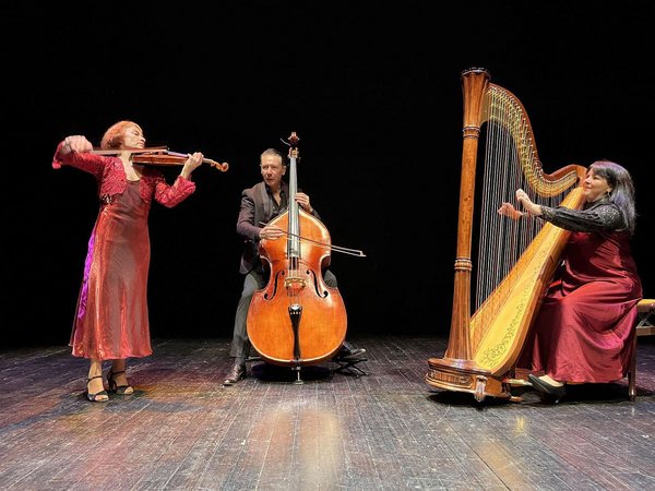 grupo de música de cordas