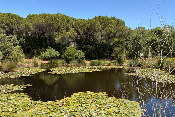 Lago em Monsanto