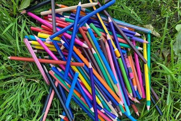 lápis de várias cores na relva