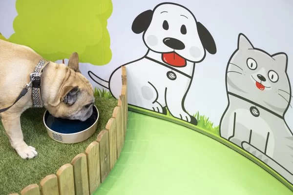 O novo projeto da EPAL, apoiado pelo município de Lisboa, vai permitir receber os animais de companhia nas instalações da empresa