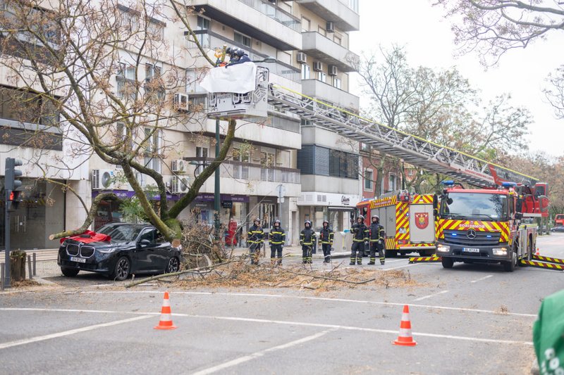 A maioria das 333 ocorrências está relacionada com queda de árvores (237) 