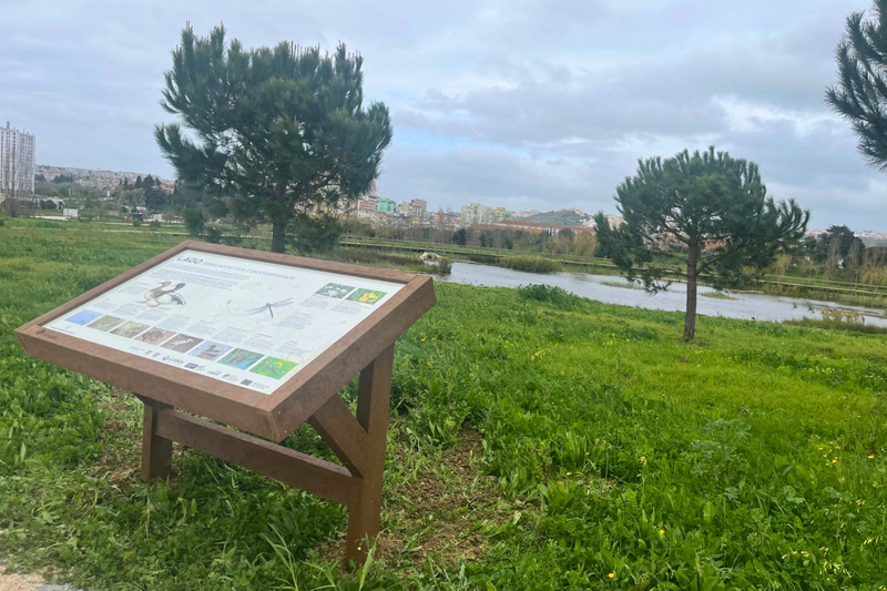 Painéis interpretativos destacam a biodiversidade do Parque Verde de Carnide