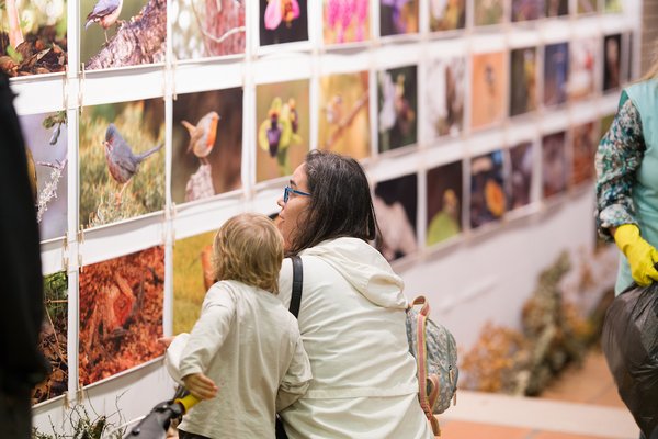 Fotografias do 1.º Concurso "Monsanto Inspira" em exposição