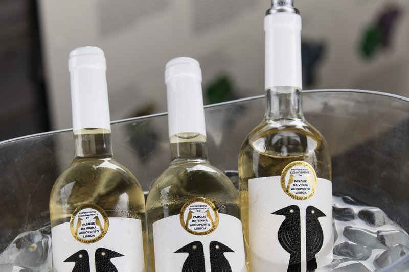 Lisboa será palco da eleição do melhor sommelier do mundo