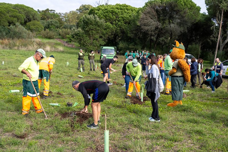 Dia da Floresta Autóctone assinalado com plantação de 150 árvores em Monsanto