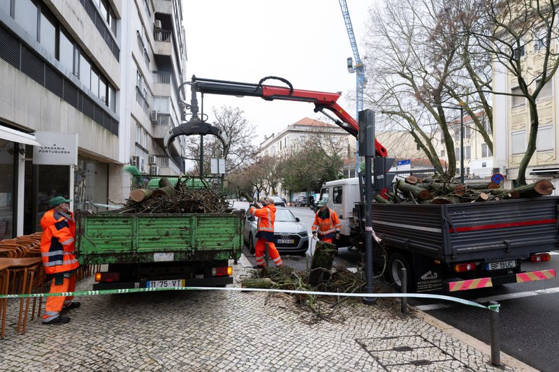 Depressão Marta gera 212 ocorrências em Lisboa