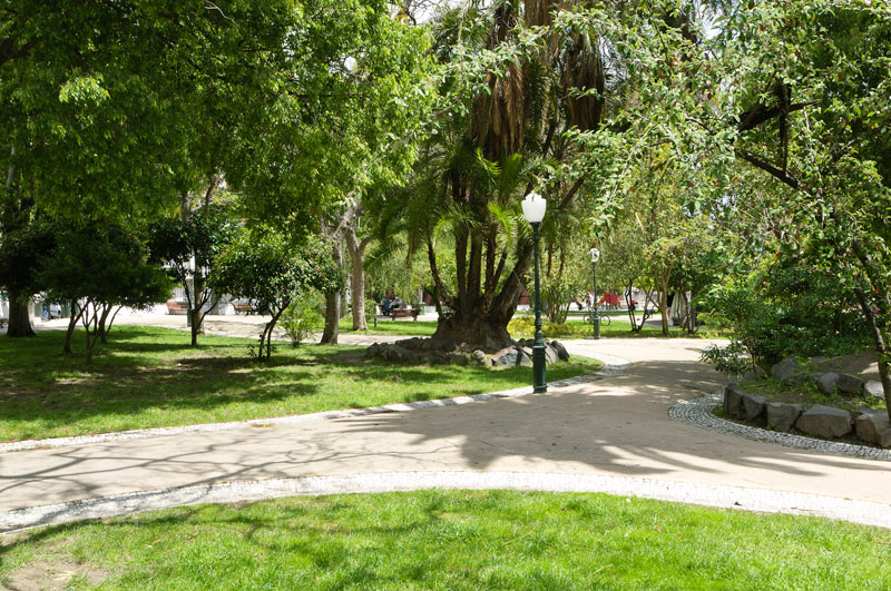 Jardim Botto Machado / Jardim de Santa Clara