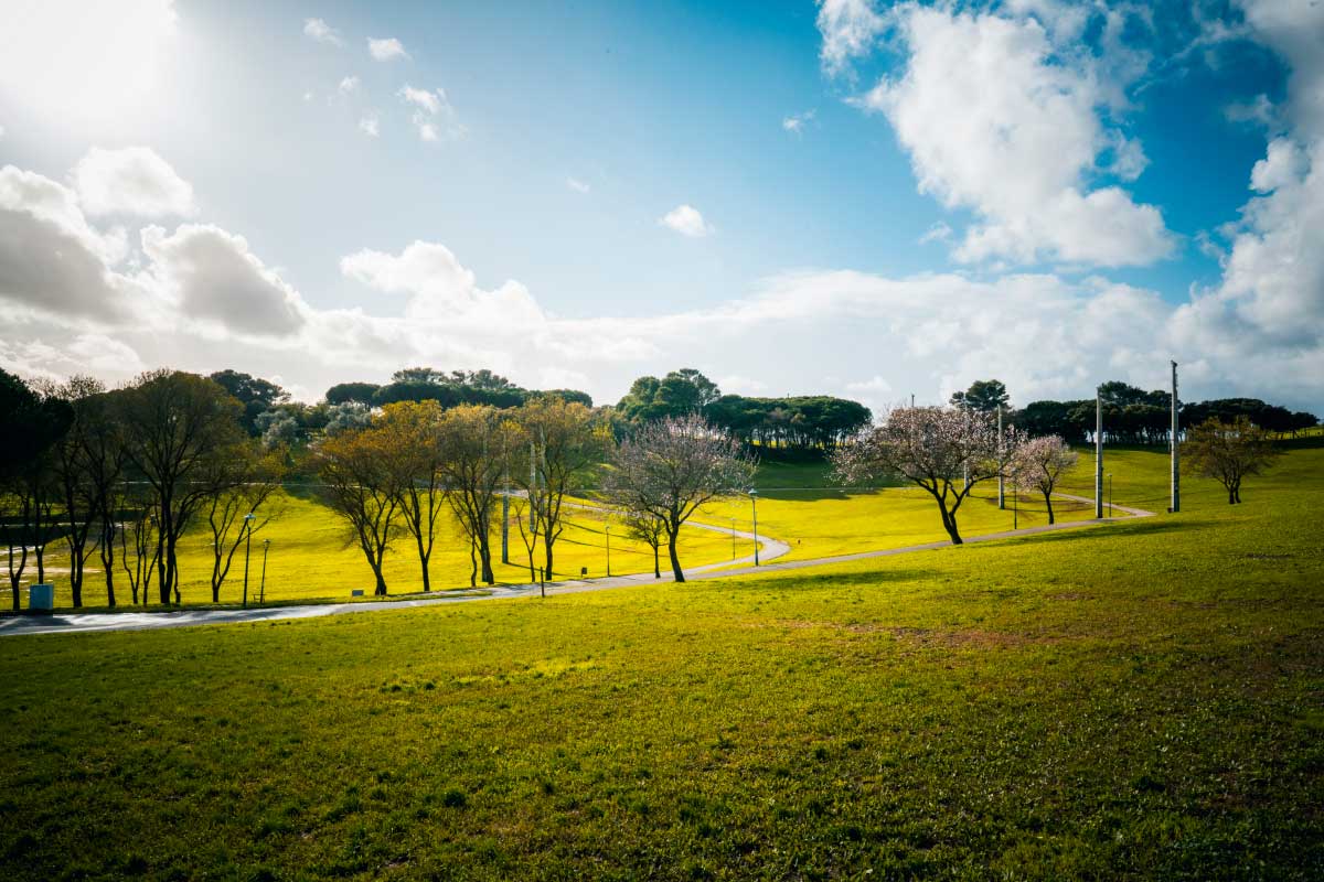 Parque da Belavista